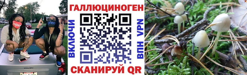 Галлюциногенные грибы Magic Shrooms  Киреевск 