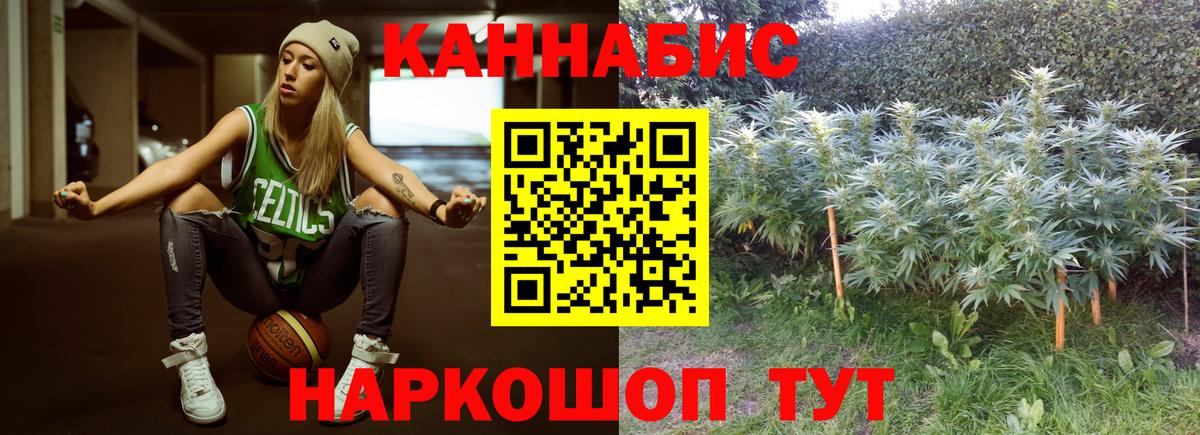 Бошки Шишки сатива Киреевск